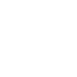 Логотип Record 80-х