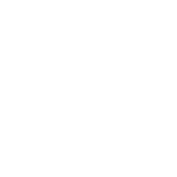 Логотип Record Christmas